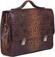Narvin 9738 N.Bambino Olive